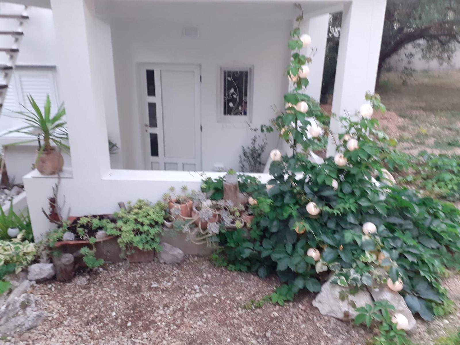 Villa Ana マカルスカ 部屋 写真